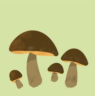 four mushrooms on the background