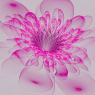 Beautiful purple flower on gray background N2