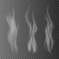 Delicate white cigarette smoke waves on transparent background vector illustration