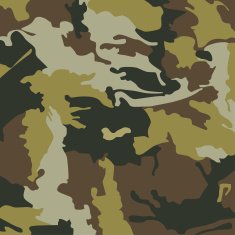 Army Look N2