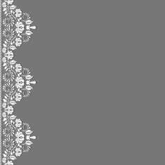 lace fabric background N60