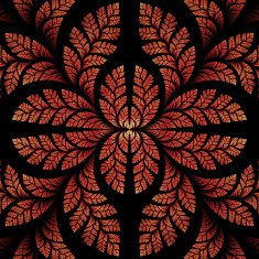 Fabulous symmetric pattern of the leaves in orange and black