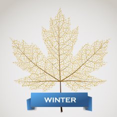 Maple leave with winter banner