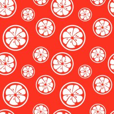 Abstract citrus fruit seamless pattern Vector illustration N10