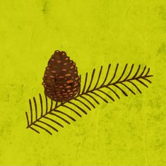 Pine Cone With Branch on Grunge Background N2