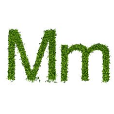 Isolated grass alphabet N15