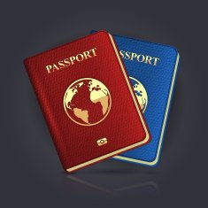 Passport N2