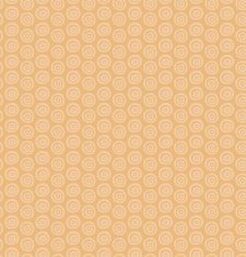 Ethnic monochrome pattern with circles N2