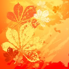 autumn leaves N149