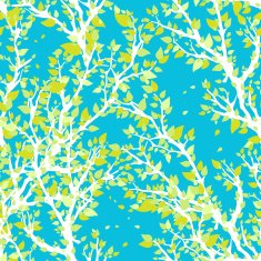 spring branches N6