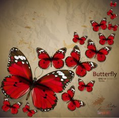Colorful vintage background with butterfly N2
