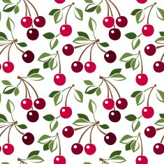 Seamless pattern with cherry Vector illustration N2