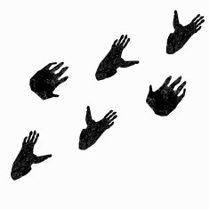 Pawprints of gorilla N2