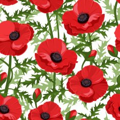 Seamless background with red poppies Vector illustration