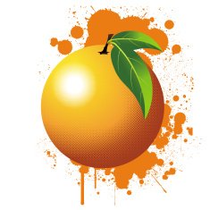 Orange N19