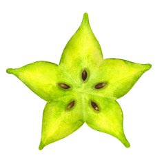 Watercolor star fruit - carambola closeup isolated