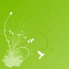 colibri N7