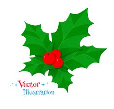Christmas holly Vector Illustration isolated