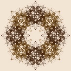 Mandala Decorative hand drawn lace pattern N33