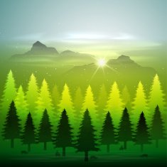 green forest with snow N2