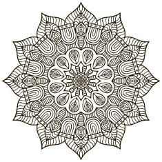 Mandala N516