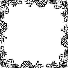 black lace on white background N2