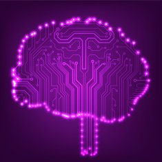 Circuit board computer brain Vector illustration N36