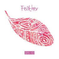 Watercolor feather illustration