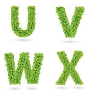 Letters of green leaves collection N2