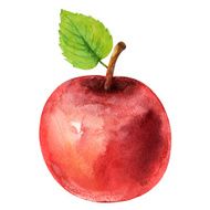 Watercolor red apple fruit with leaf closeup isolated
