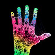 Hand Print N20