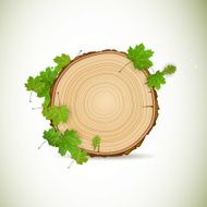 Vector Wooden Board with Leaves N3