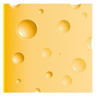 Piece of Cheese N6