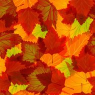 Seamless background with autumn leaves N3