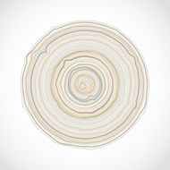 Cross section of tree trunk isolated Wood stump rings texture