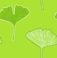 Ginkgo seamless interior wallpaper ( fresh green )