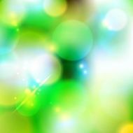 Bokeh background of foliage N3