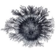 Abstract ink splatter