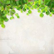 Vector tree branch leaves plaster wall background