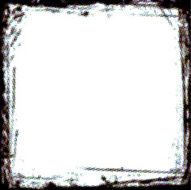 Halftone Border