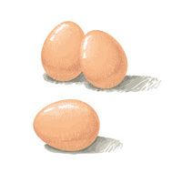 Eggs N7