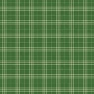 Seamless pattern Scottish green cage N2