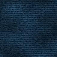 background abstract skin texture blue N2