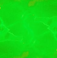 abstract background painting N748