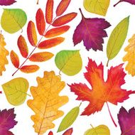 Pattern of watercolor autumn leaves oak maple birch rowan ash N2