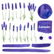 Vector watercolor elements set with lavender