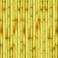 Bamboo N57