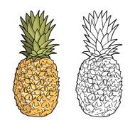 Isolated pineapples N2
