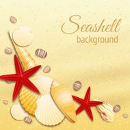 Seashell sand background poster
