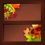 Autumn Vector Fall Leaves N8